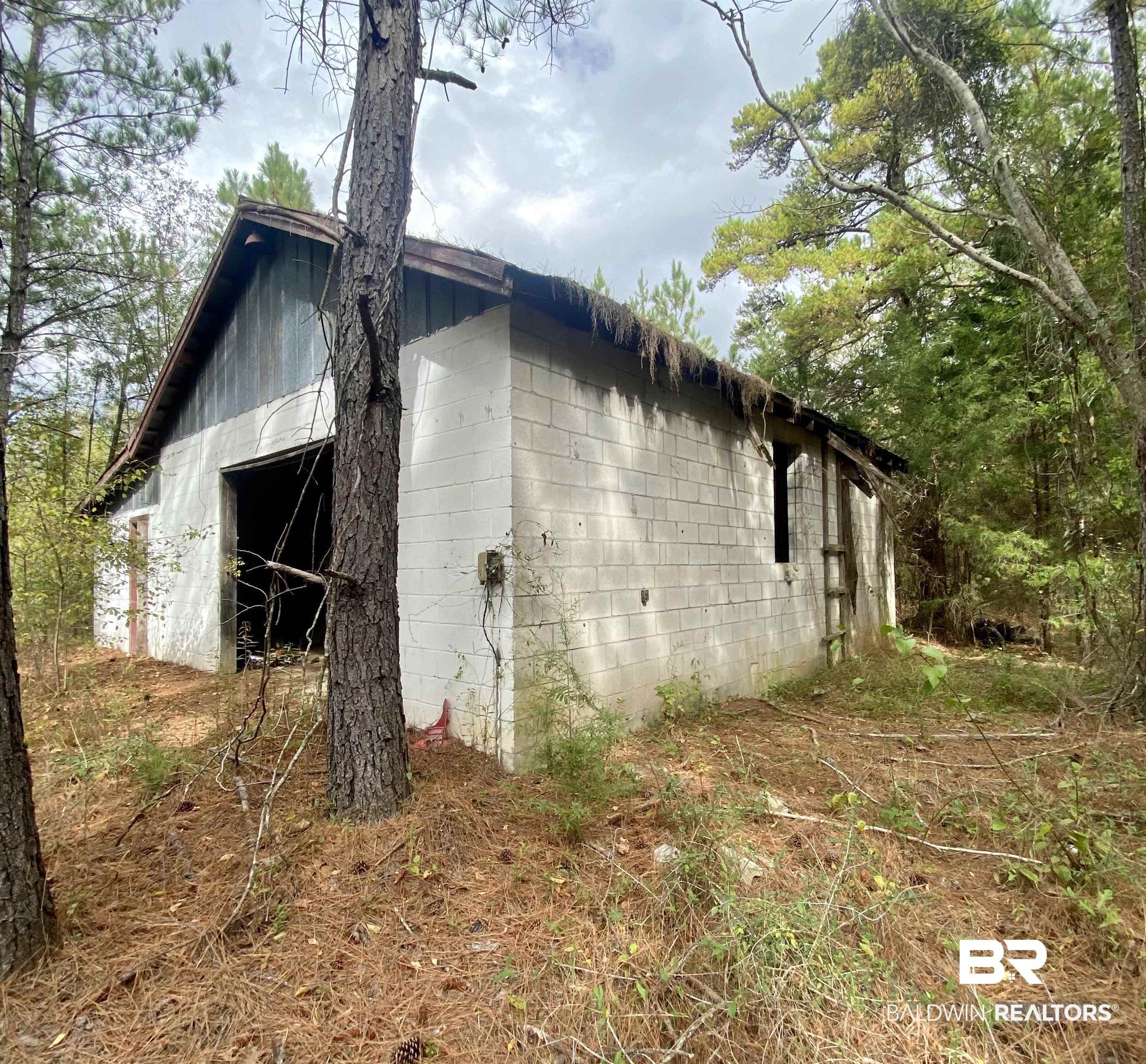 0 Owassa Road Evergreen, AL 36401 - Photo 4 of 6