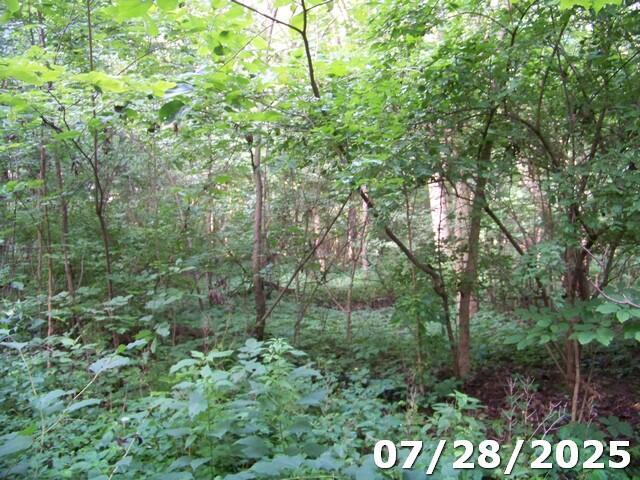 0 Owens Road East Marion, OH 43302 - Photo 5 of 7