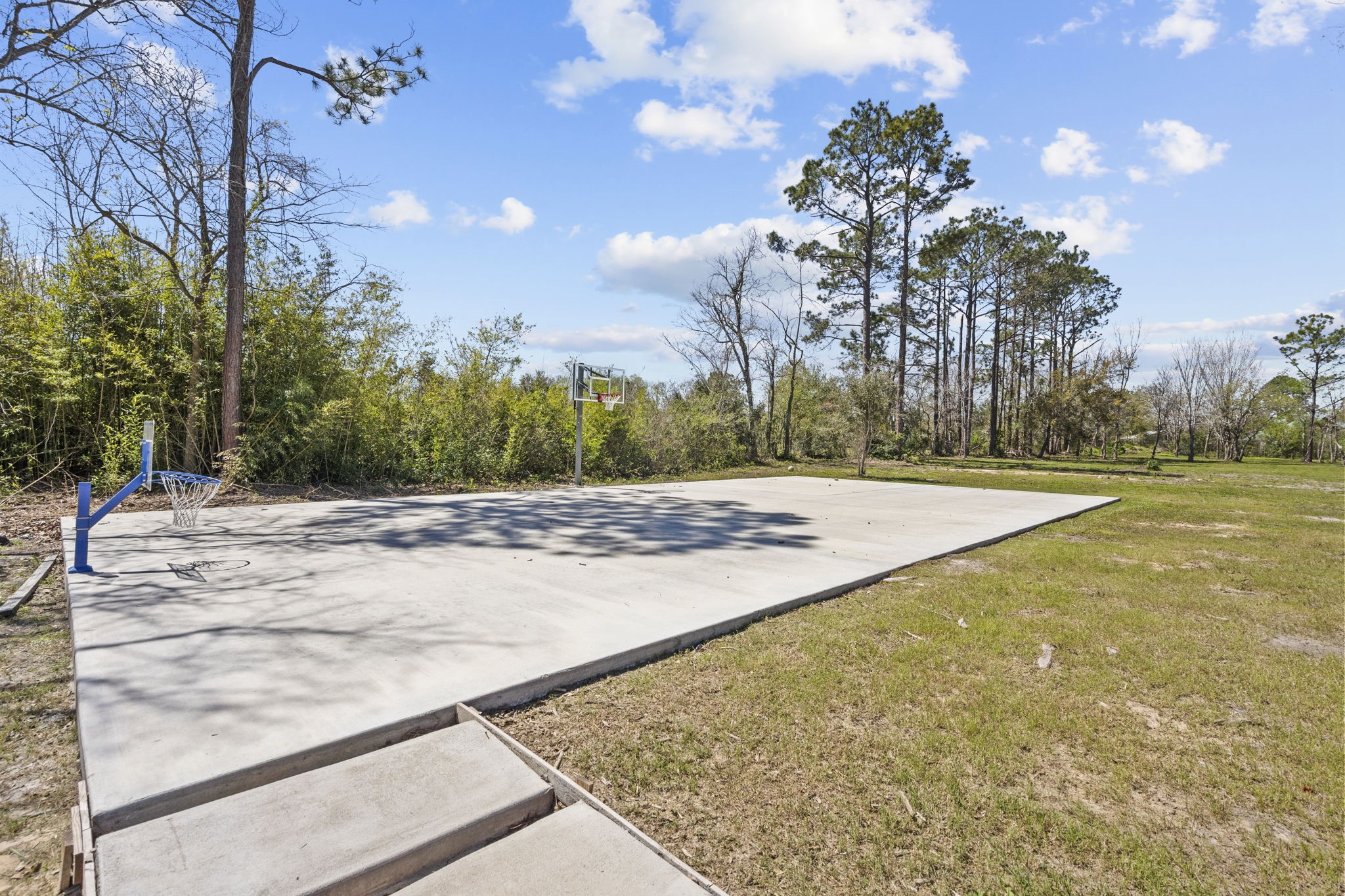 5406 South Tower Road Santa Fe, TX 77517 - Photo 38 of 46 a view of yard with swimming pool and trees