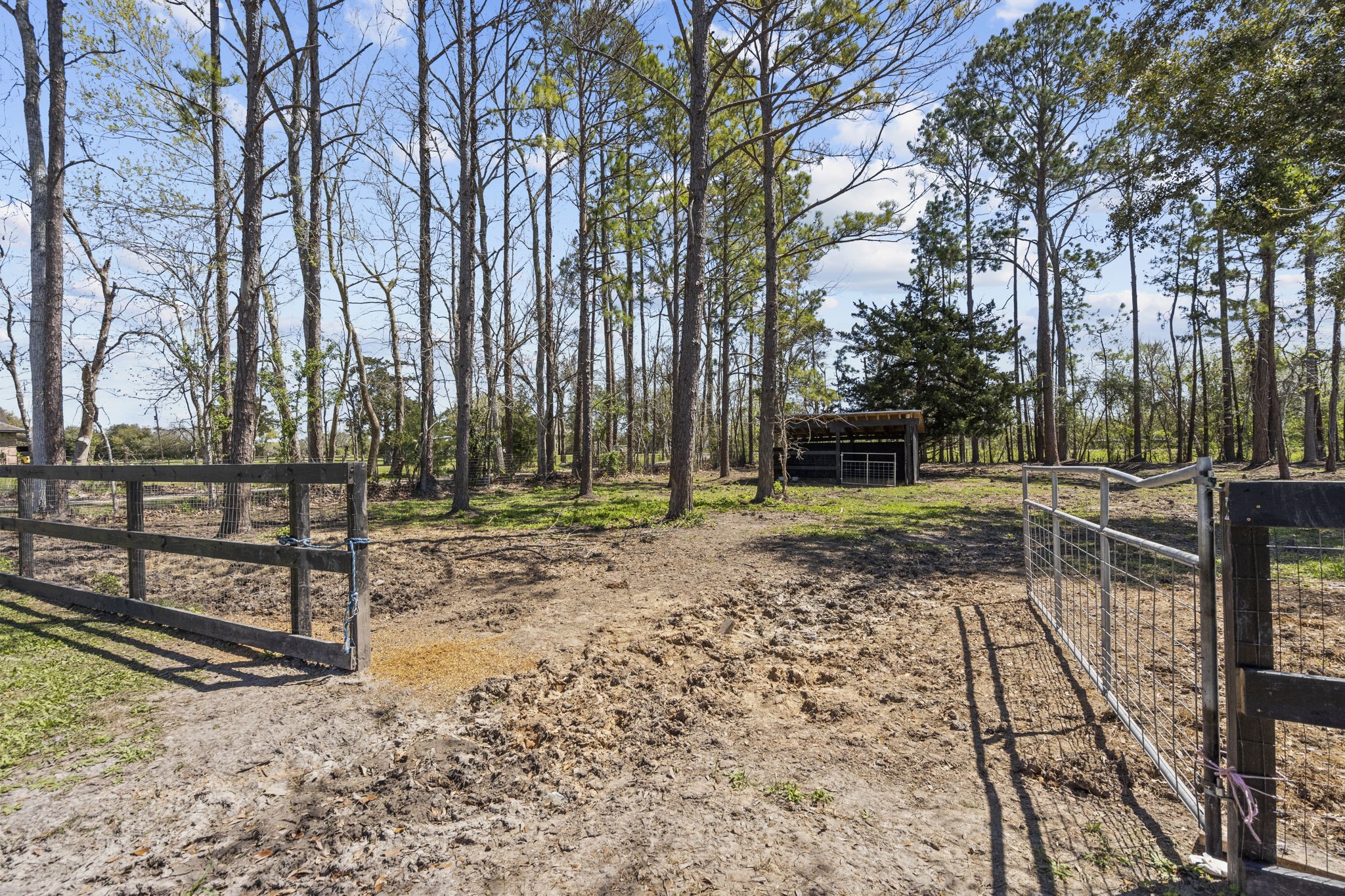5406 South Tower Road Santa Fe, TX 77517 - Photo 44 of 46 a view of backyard with green space