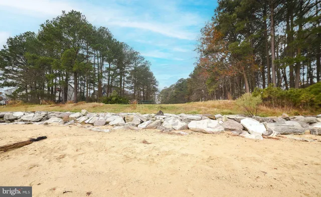a view of yard covered with snow