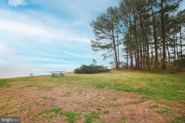 a view of beach and ocean