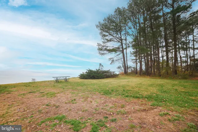 a view of beach and ocean