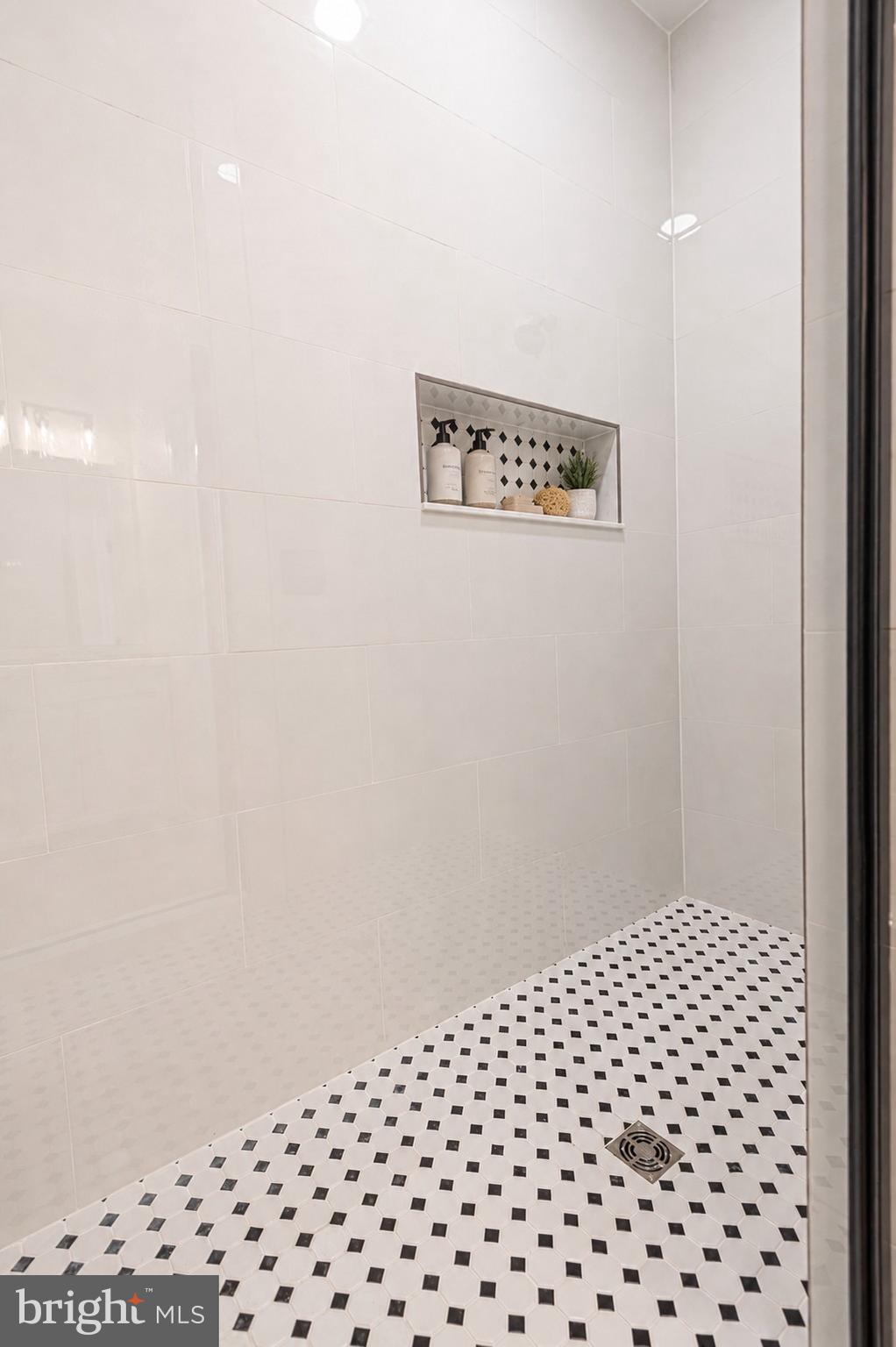 29687 Piney Neck Road Dagsboro, DE 19939 - Photo 29 of 102 VS Primary Walk-in Shower
