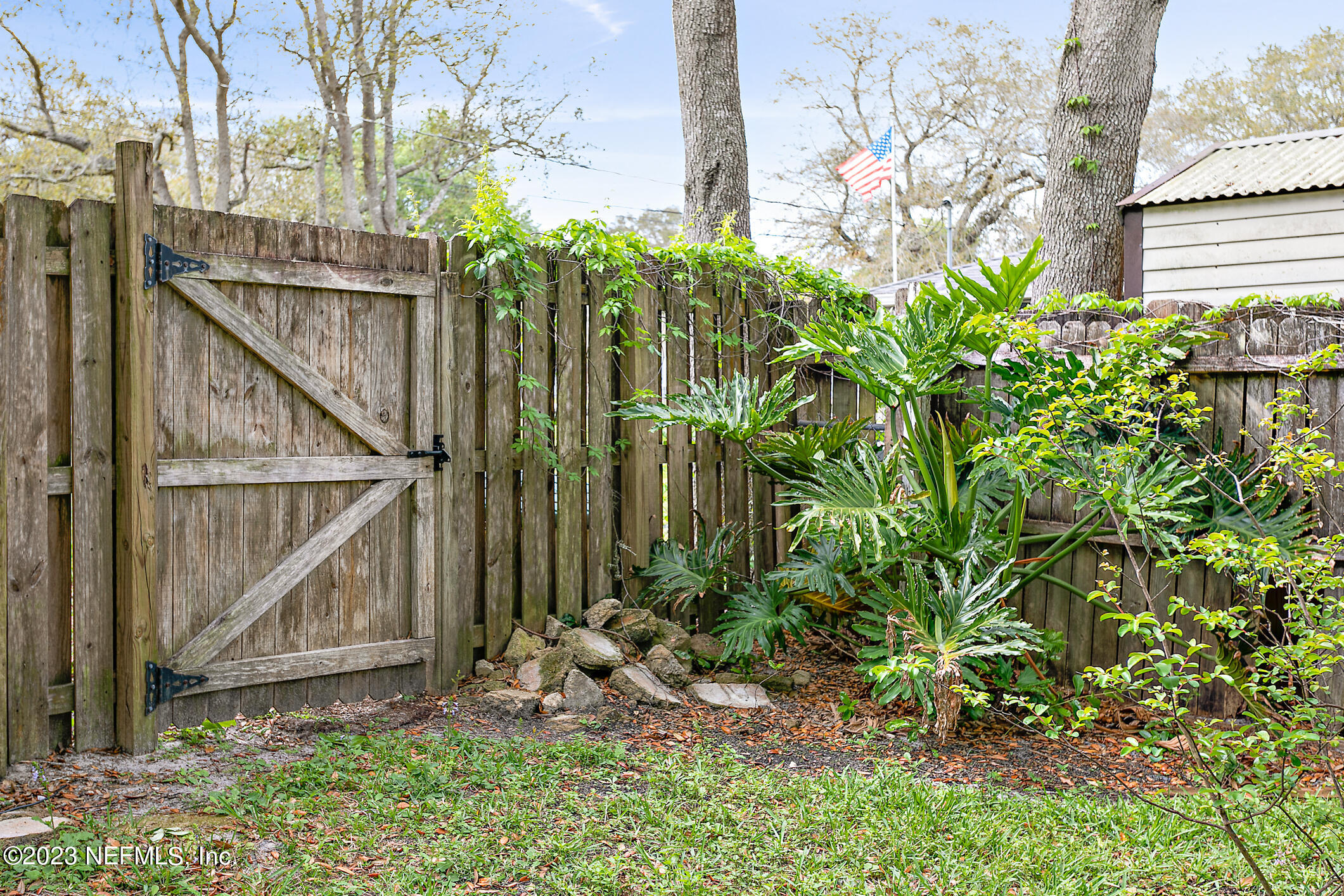 209 Jasmine Road St. Augustine, FL 32086 - Photo 30 of 35 a backyard of a house with lots of green space