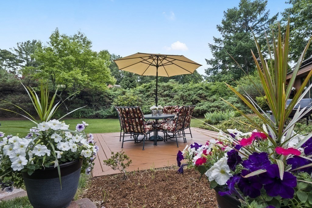 16 Kinsley Road Acton, MA 01720 - Photo 6 of 42 Gallery Image 6