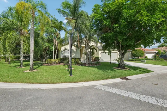 a view of a park with a tree