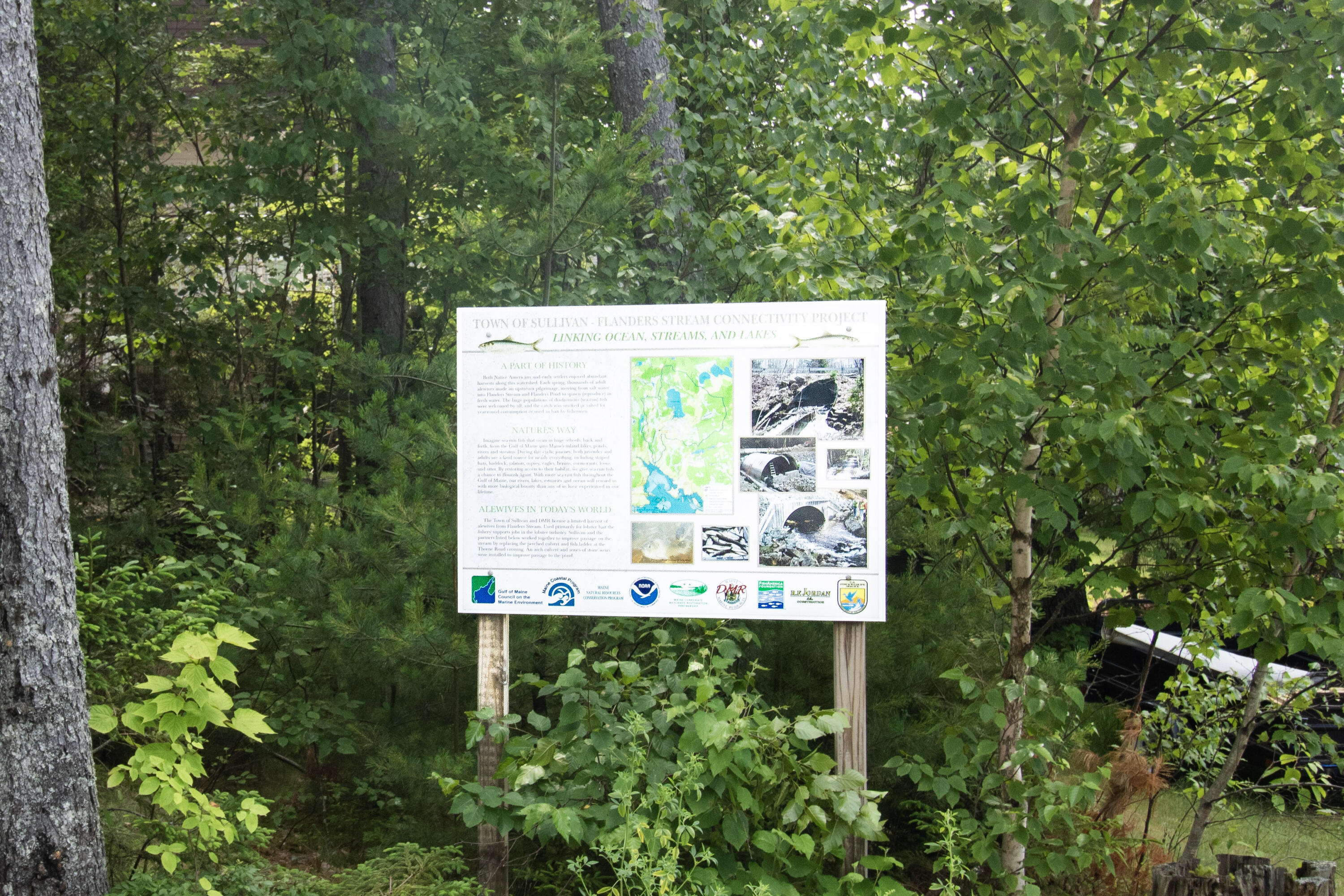284 Flanders Pond Road Sullivan, ME 04664 - Photo 43 of 57 Sign at beach