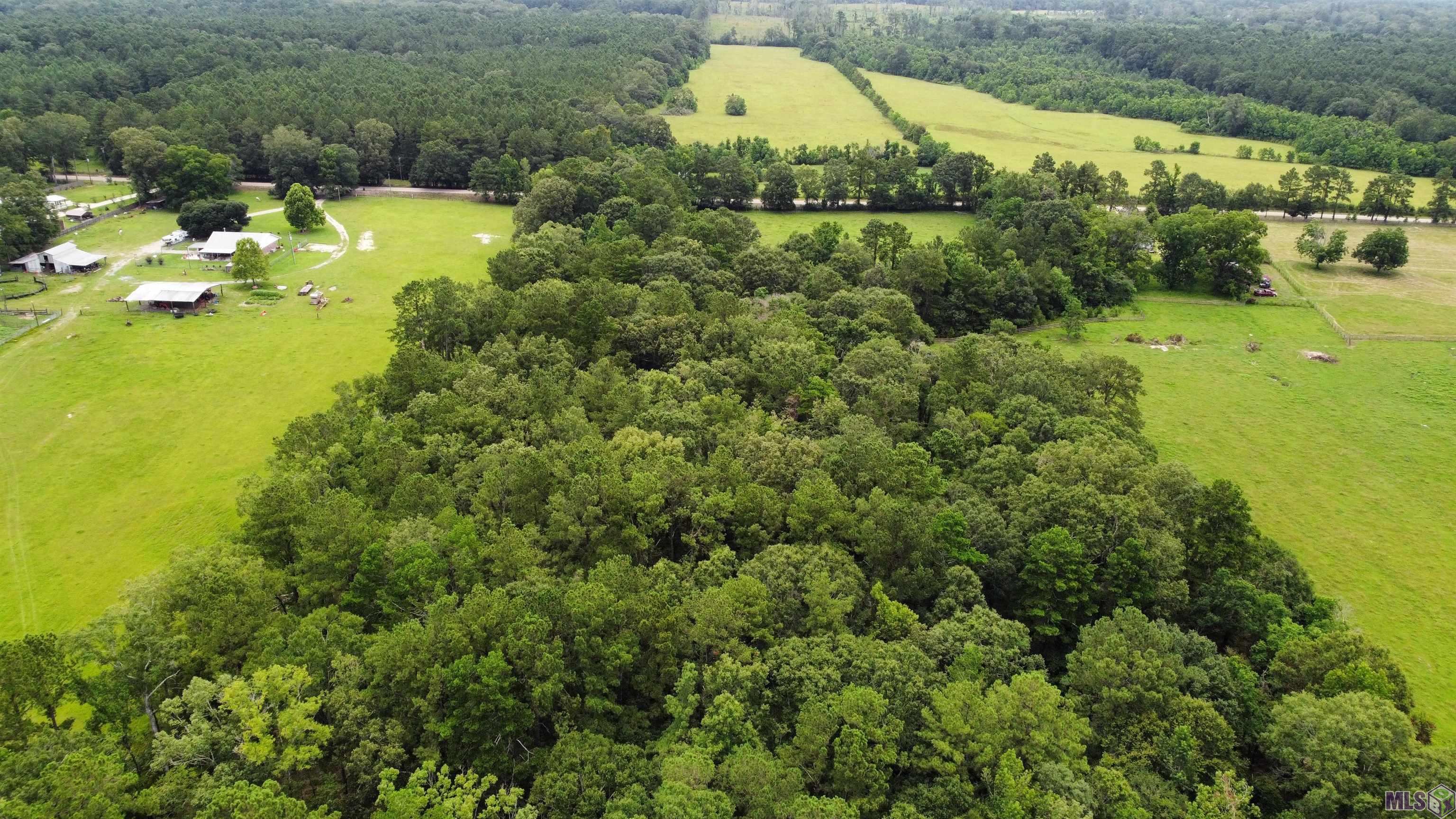 1 A Jackson Road Zachary, LA 70791 - Photo 8 of 18 Gallery Image 8