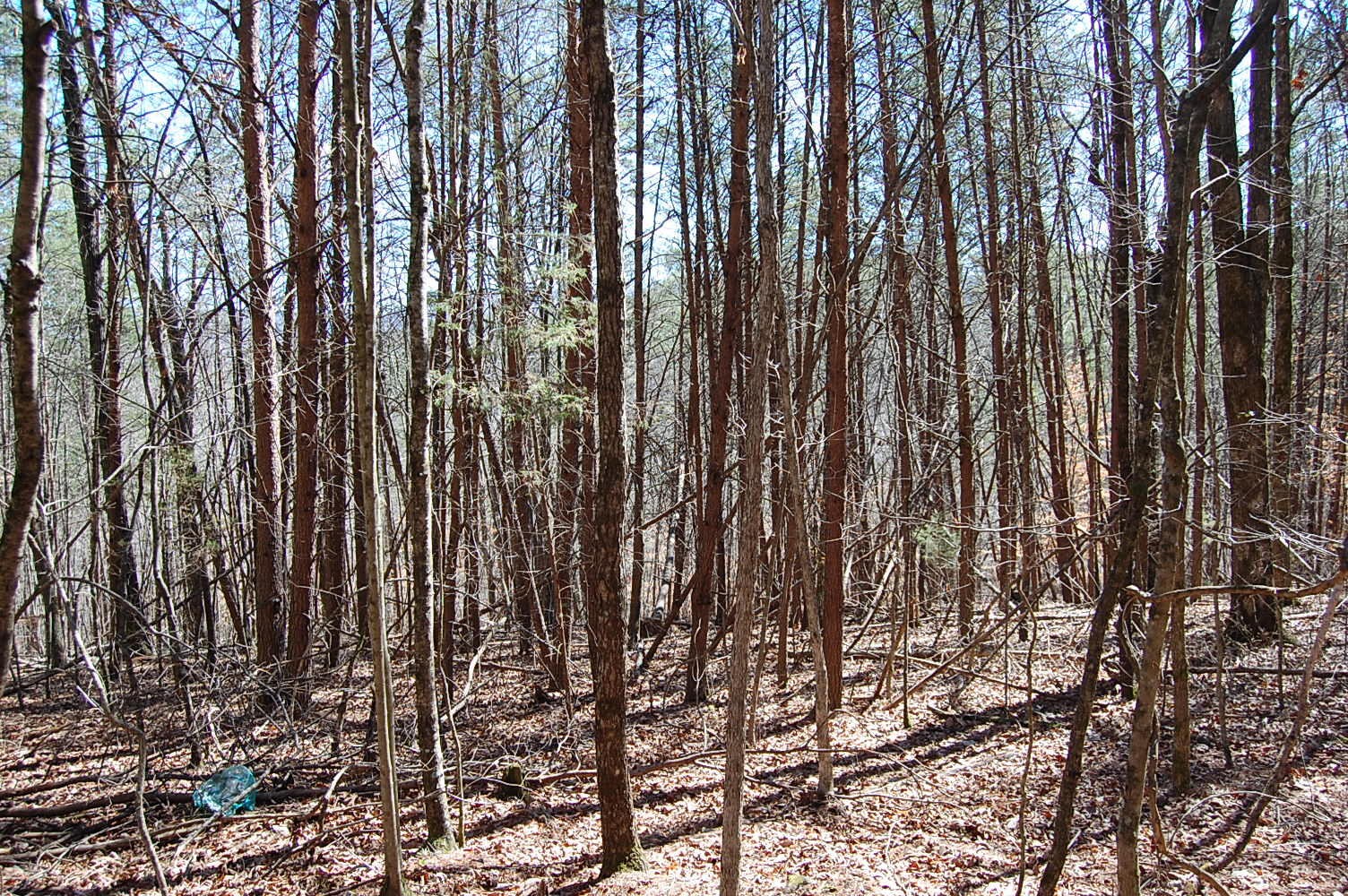5 Pickett Cross Road Whitwell, TN 37397 - Photo 26 of 36 Gallery Image 26