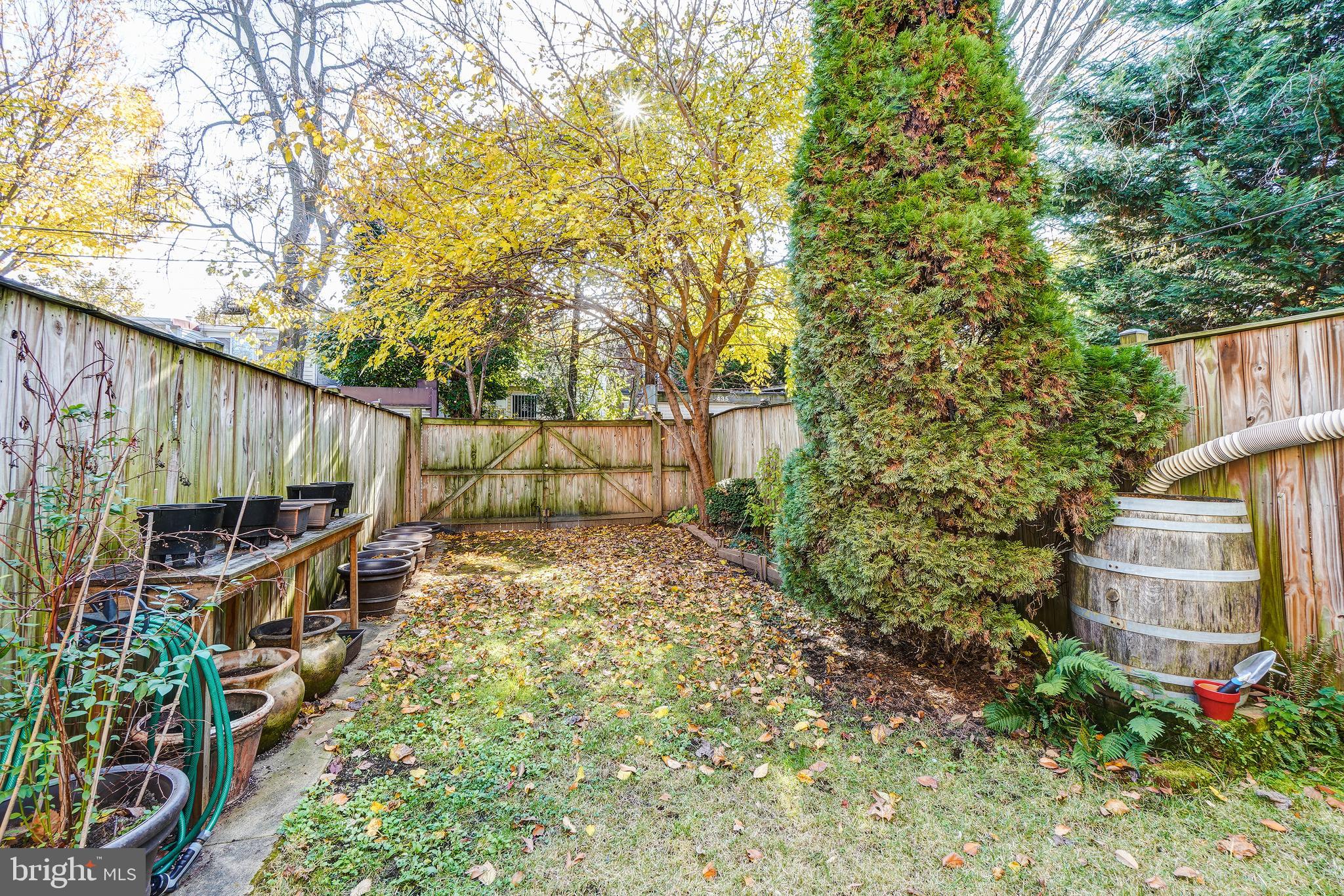 424 Warner Street Northwest Washington, DC 20001 - Photo 7 of 7