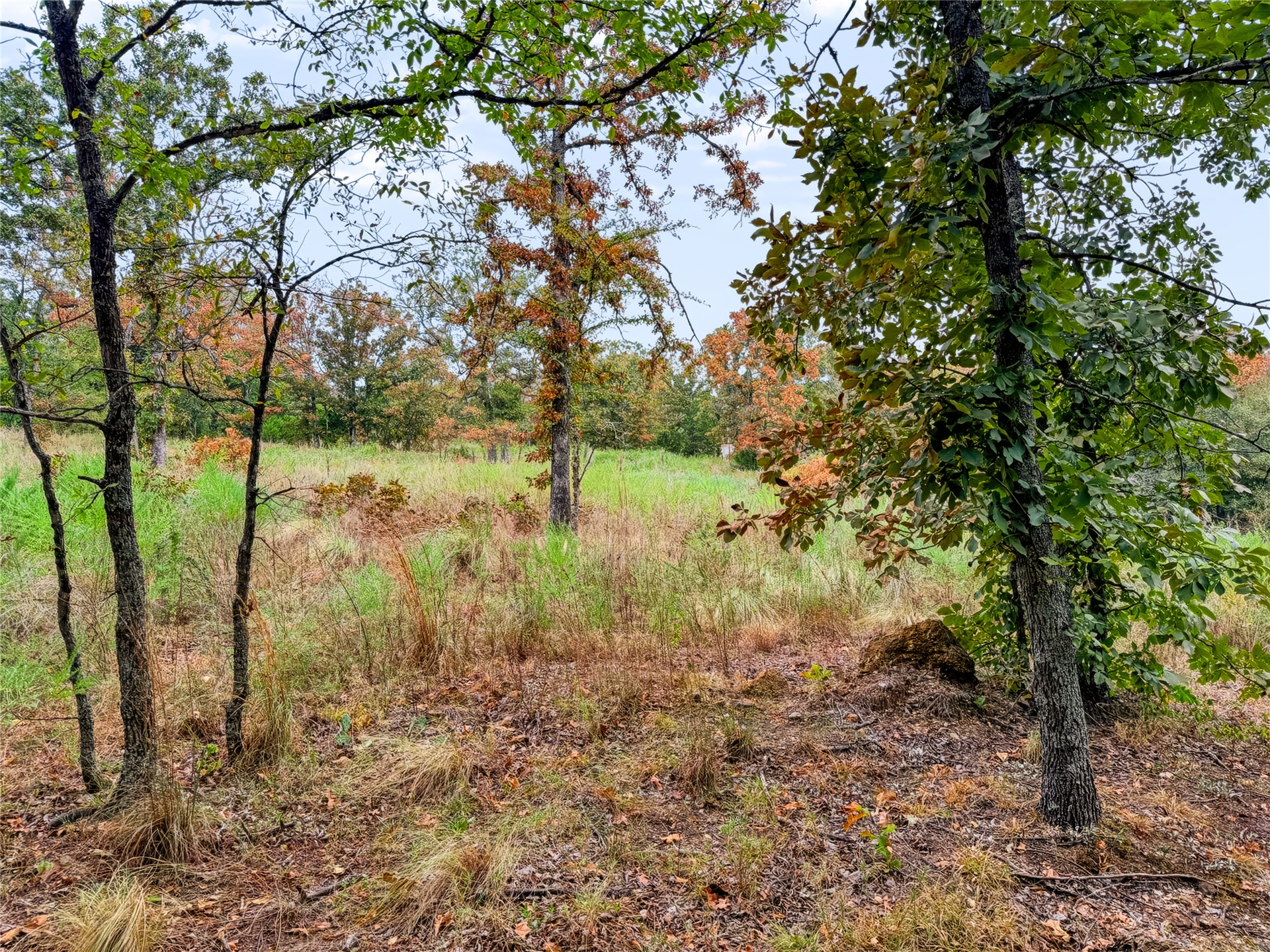 3607 South Half Bank Road Atoka, OK 74525 - Photo 61 of 82 Additional content