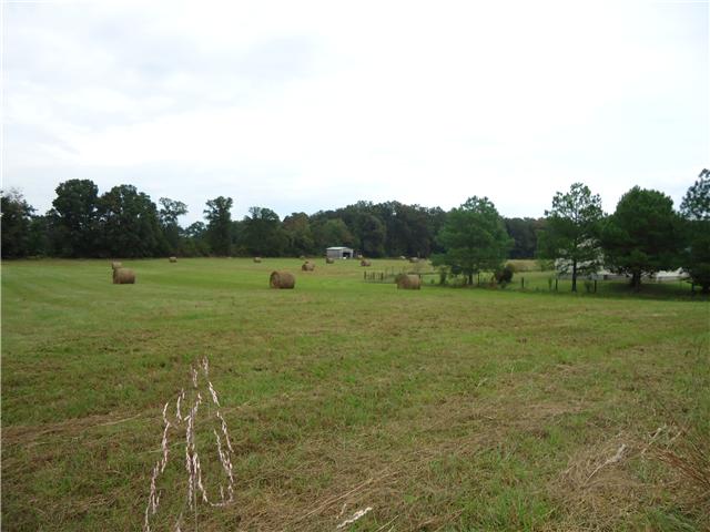 1850 Riddle Road Manchester, TN 37355 - Photo 3 of 10 A view of the pasture from the road