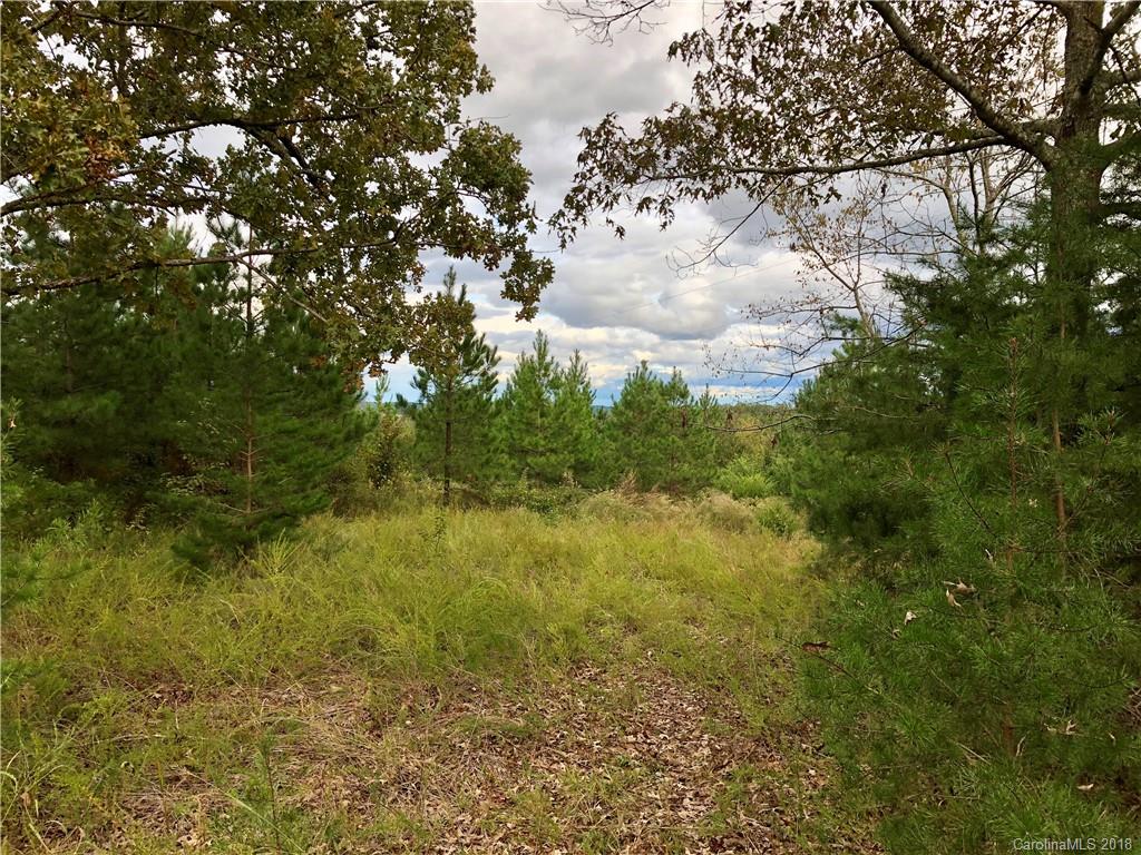 791 West V Thompson Road Rutherfordton, NC 28139 - Photo 3 of 13