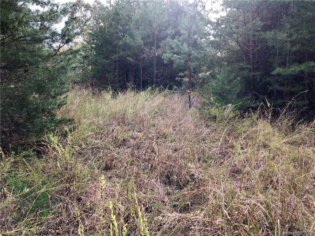 791 West V Thompson Road Rutherfordton, NC 28139 - Photo 8 of 13