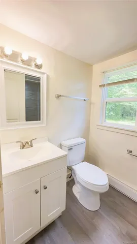a bathroom with a toilet a sink and mirror