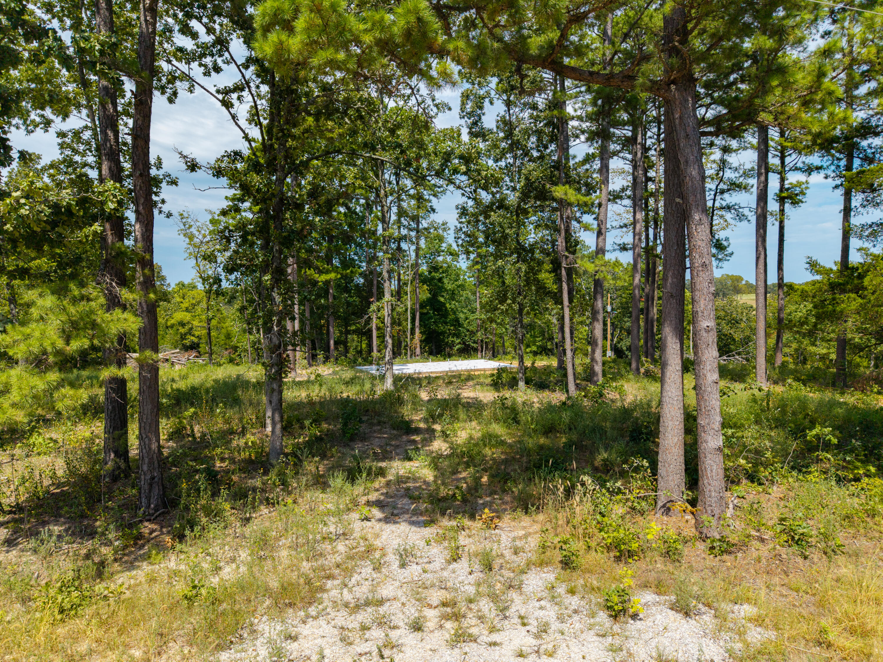 Lot 3-4 Malberg Road Cabool, MO 65689 - Photo 13 of 22 000 Malberg Rd-26
