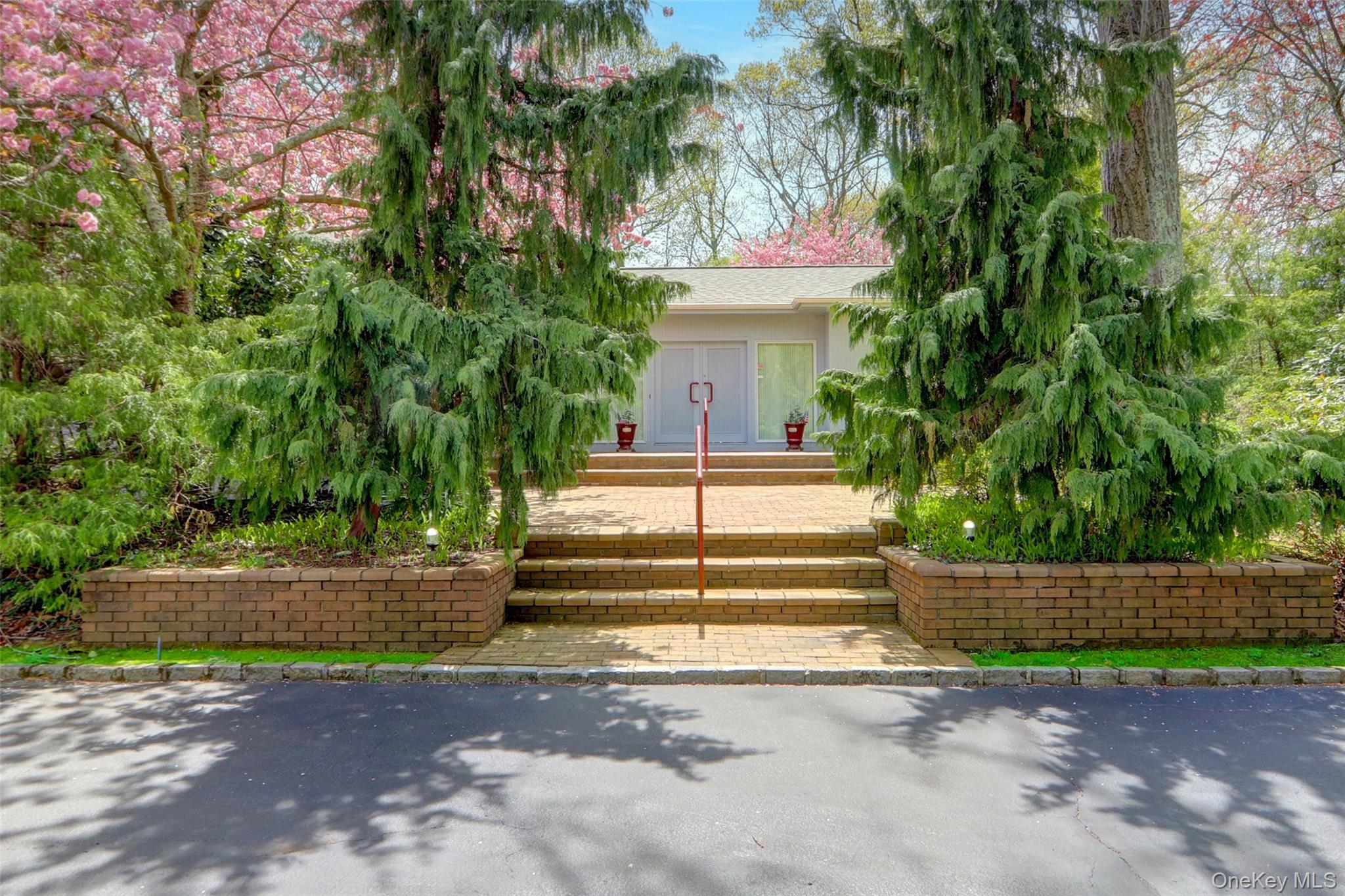 a view of yard with small plants and trees