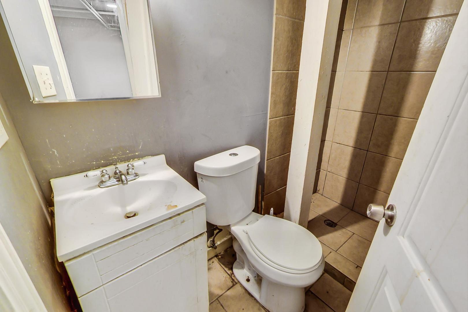 719 North Ridgeway Avenue Chicago, IL 60624 - Photo 28 of 58