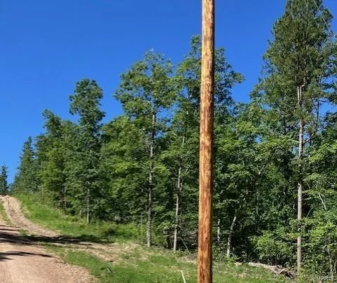 $28,020 | 87 Madison Cr, Fredericktown, MO 63645