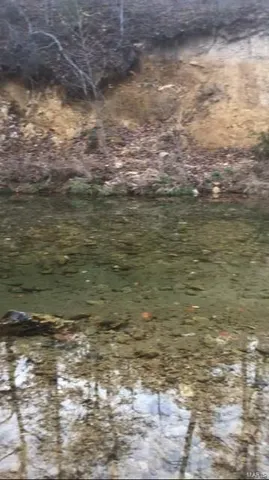 $28,020 | 87 Madison Cr, Fredericktown, MO 63645