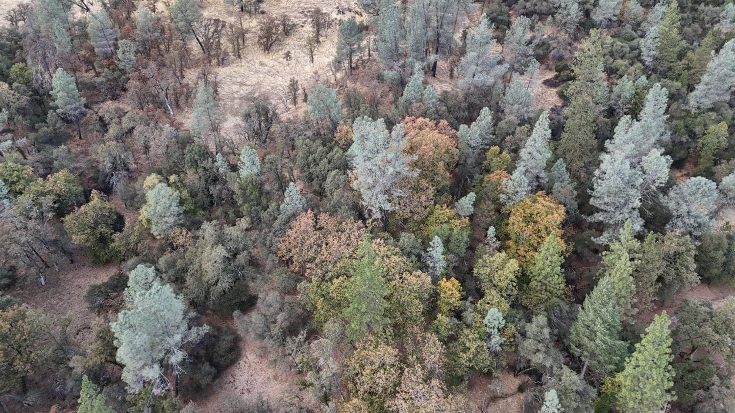 17022 Brewer Road Grass Valley, CA 95949 - Photo 5 of 9