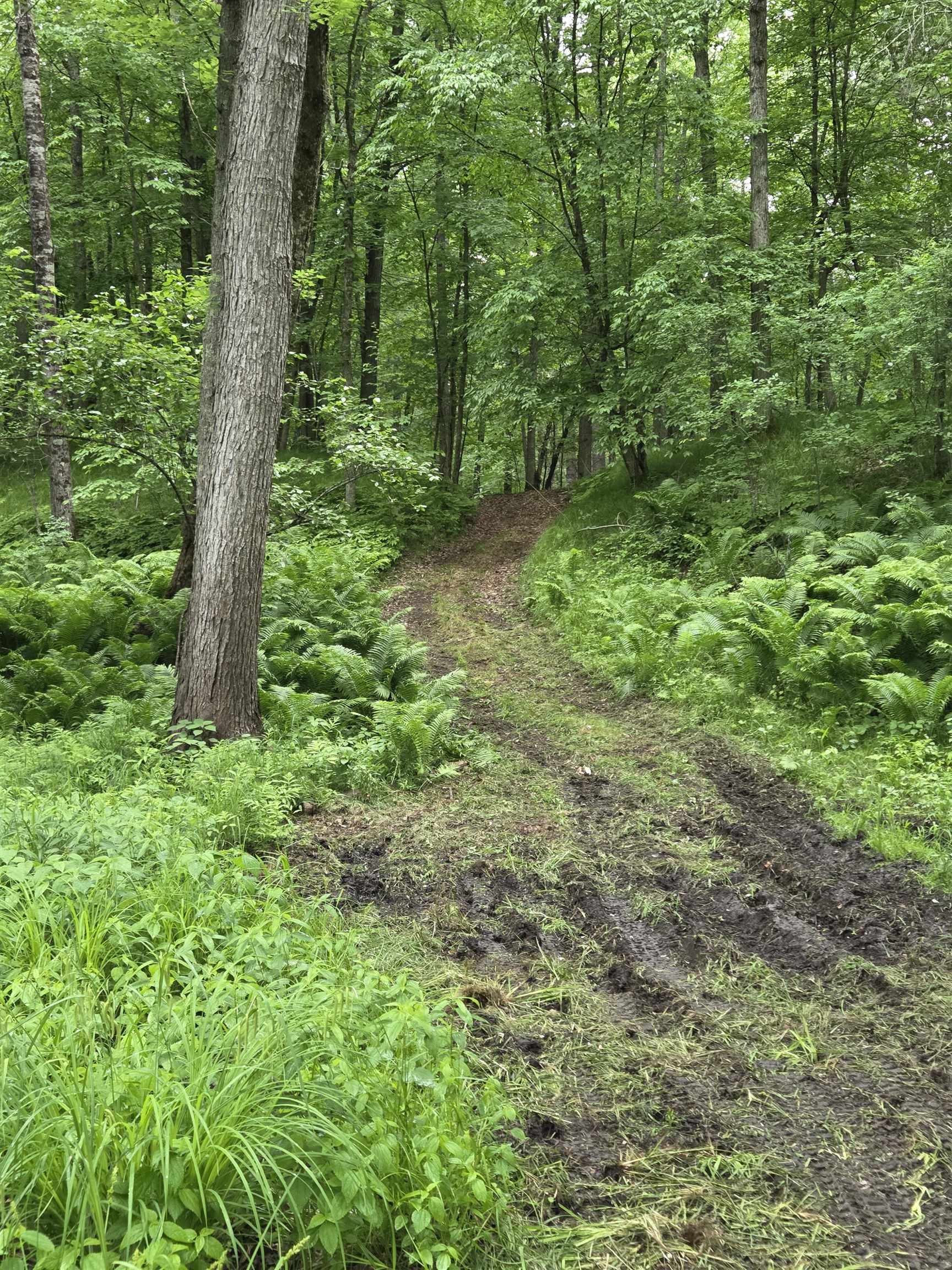 N13300 Pike River Road Wausaukee, WI 54177 - Photo 29 of 39
