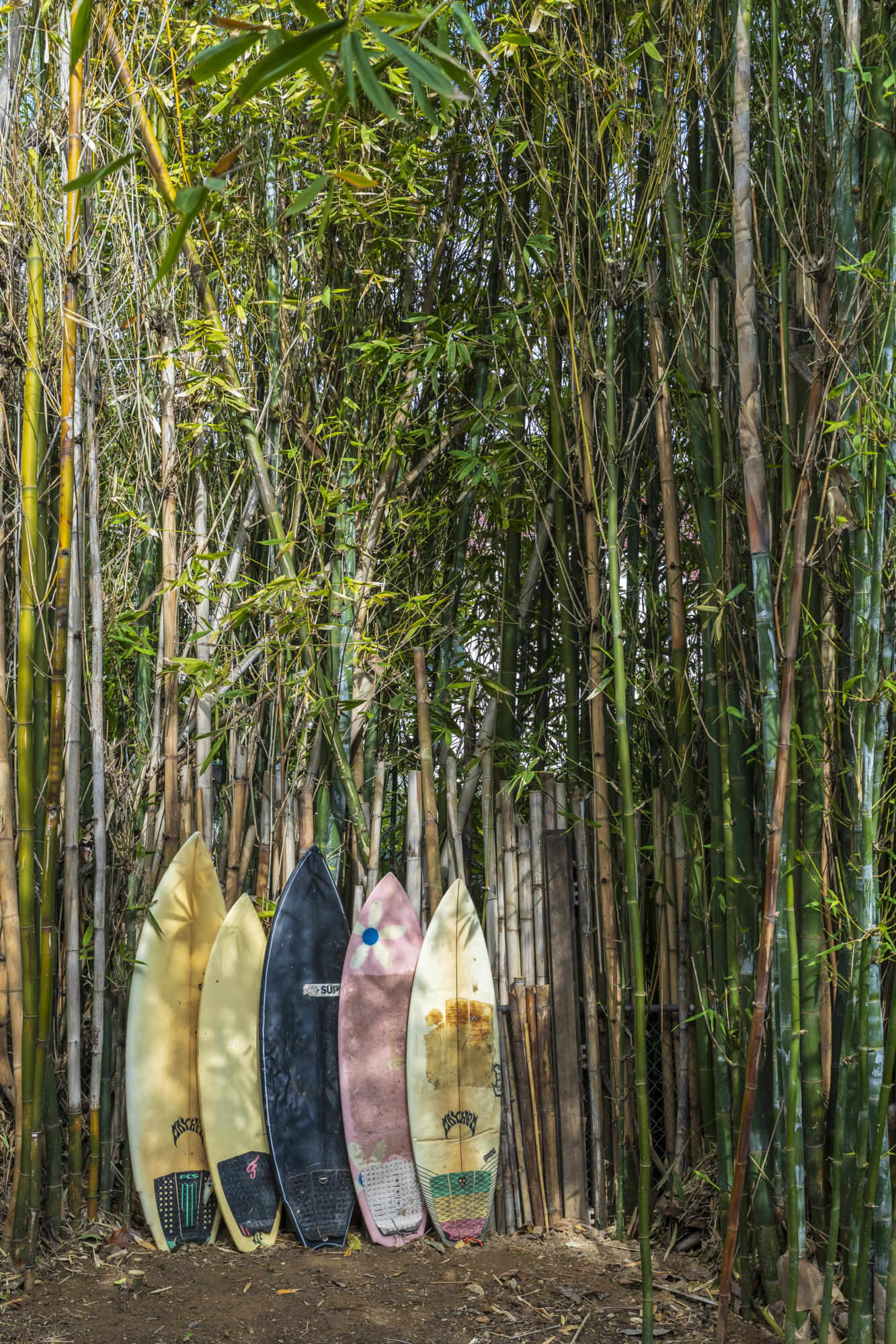 1493 Sycamore Canyon Road Santa Barbara, CA 93108 - Photo 71 of 78 Bamboo Garden