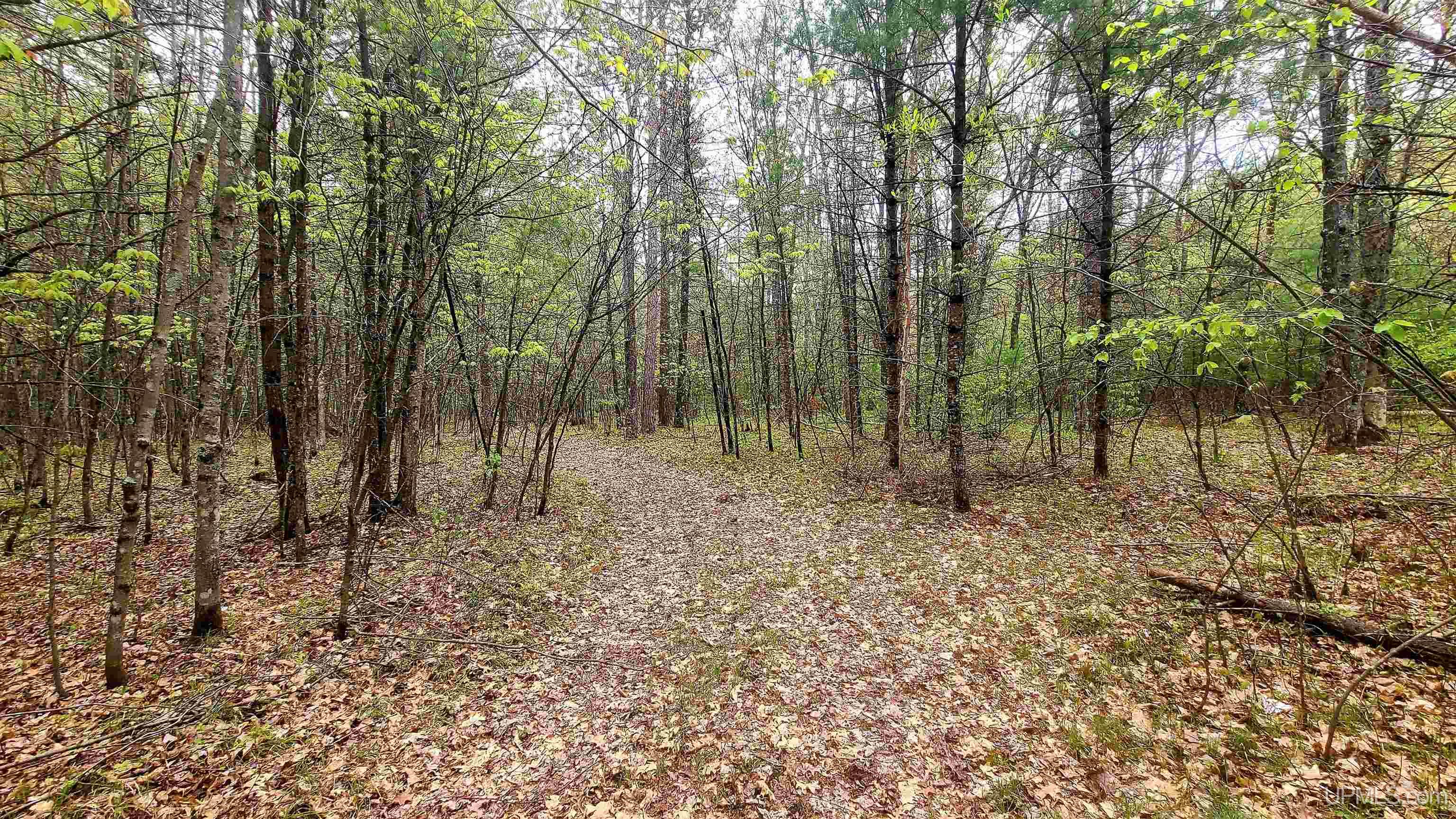 N18733 Short Cut Road Pembine, WI 54156 - Photo 47 of 63 Gallery Image 47