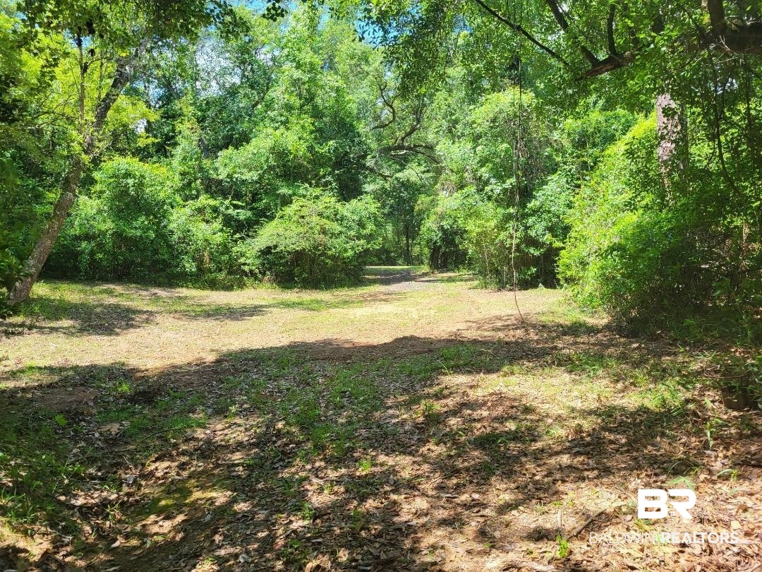 25597 Waterworld Road Robertsdale, AL 36567 - Photo 5 of 14 View of yard with a forest view