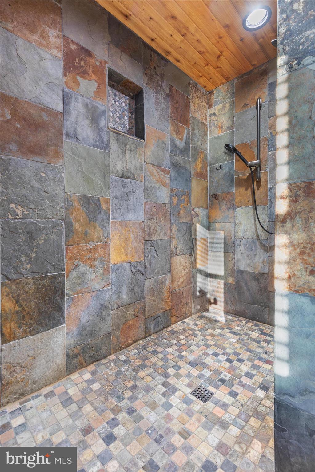 1687 Jordan Springs Road Stephenson, VA 22656 - Photo 16 of 51 walk in shower, luxury tile, wood ceiling