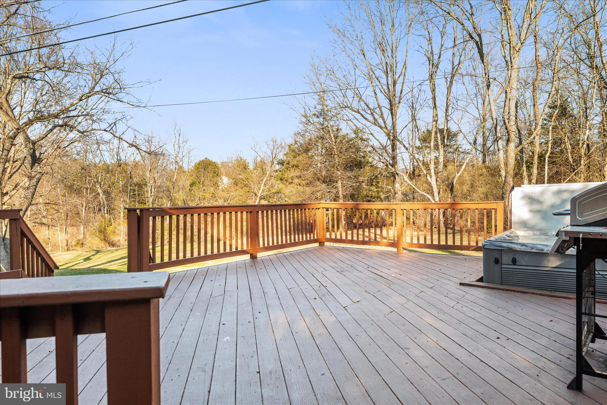 1687 Jordan Springs Road Stephenson, VA 22656 - Photo 26 of 51 Rear Deck View 2