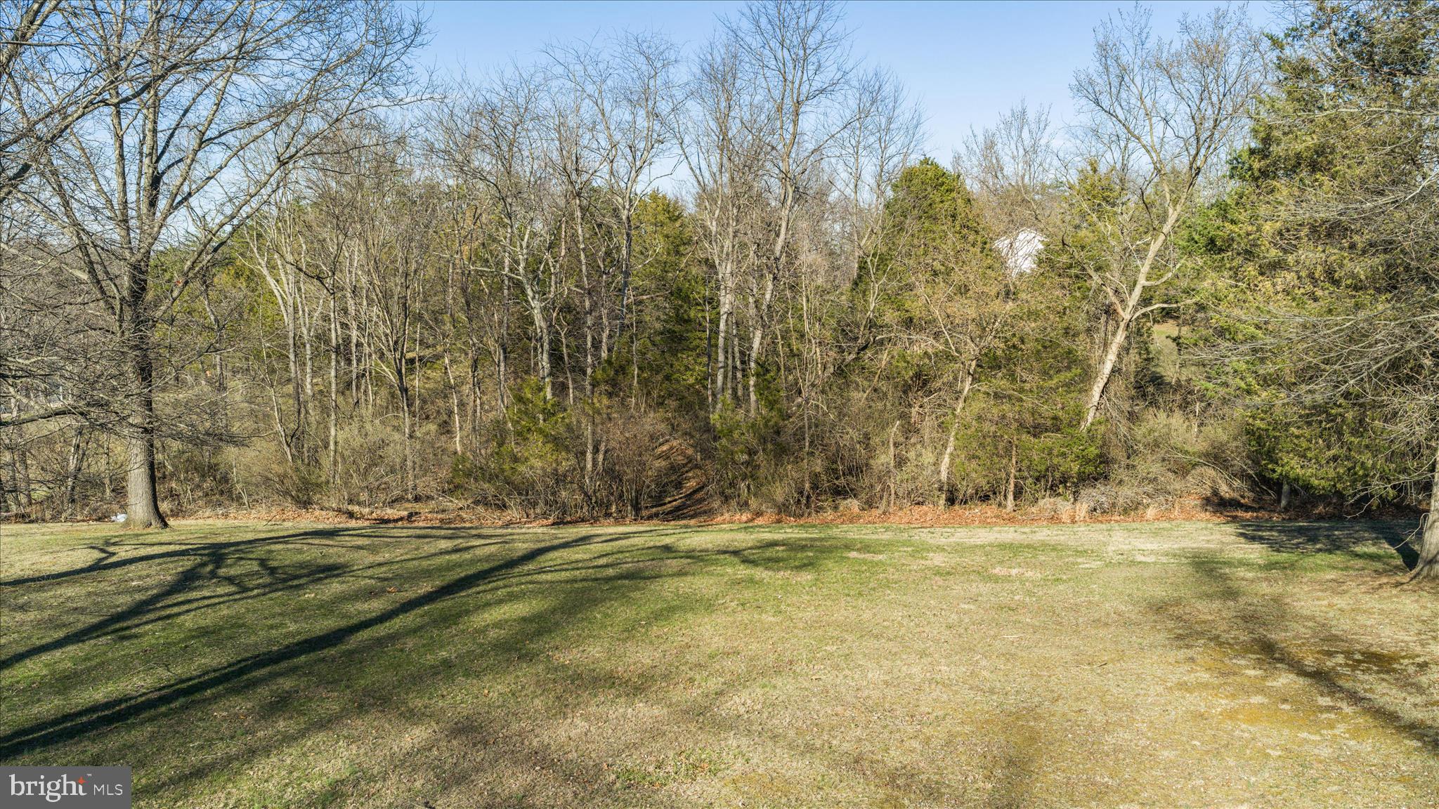 1687 Jordan Springs Road Stephenson, VA 22656 - Photo 48 of 51 Open Rear Yard