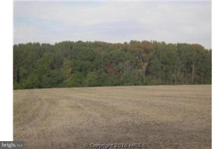 25400 Trunk Line Road Henderson, MD 21640 - Photo 3 of 5 Other #1