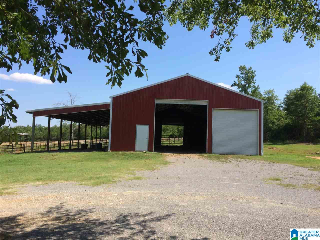 3134 Pine Mountain Road Remlap, AL 35133 - Photo 6 of 44 Gallery Image 6