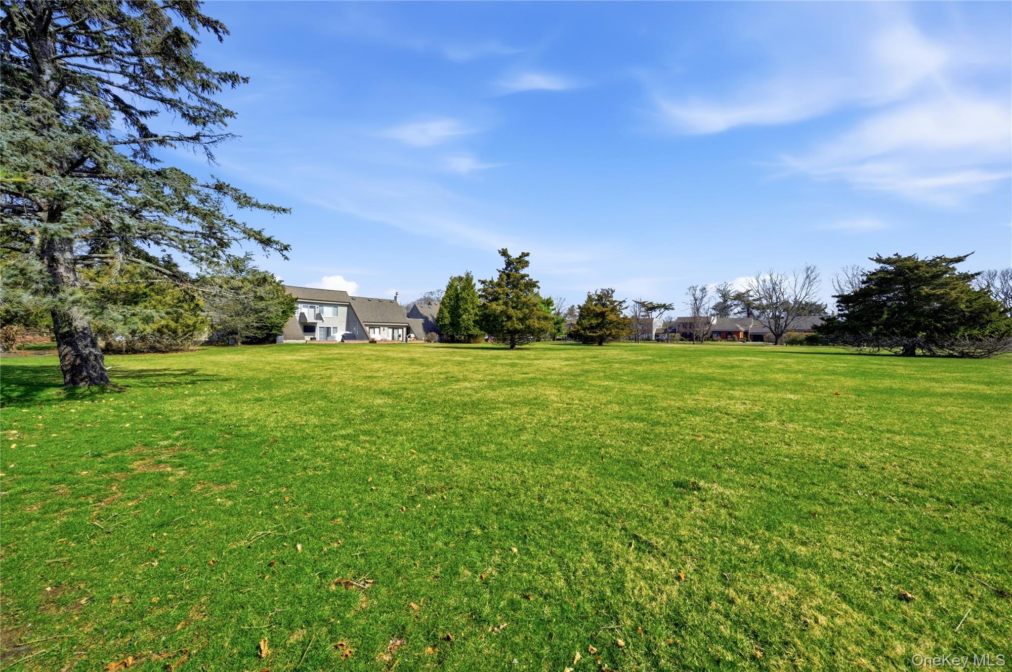 282 Helm Lane Bay Shore, NY 11706 - Photo 34 of 48 a view of a trees with a big yard