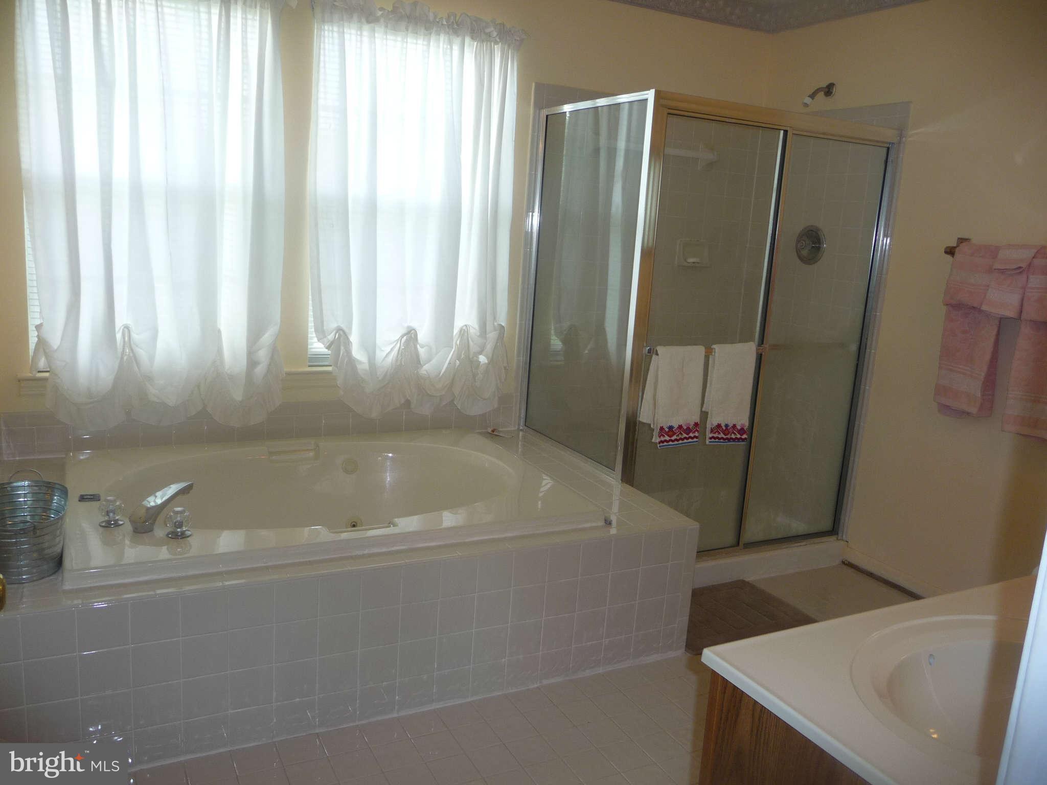 8618 Windmill Road Randallstown, MD 21133 - Photo 14 of 21 Bath (Master)