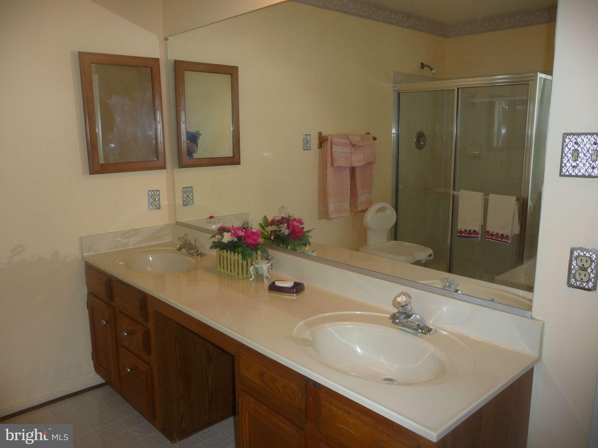 8618 Windmill Road Randallstown, MD 21133 - Photo 15 of 21 Bath (Master)