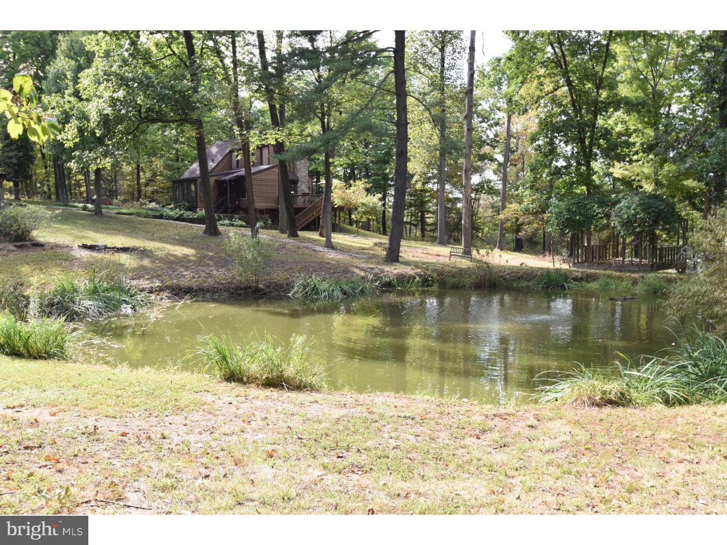 Lake / Pond
