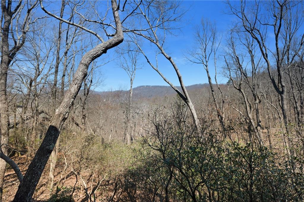 316 Tea Berry Lane Big Canoe, GA 30143 - Photo 15 of 62