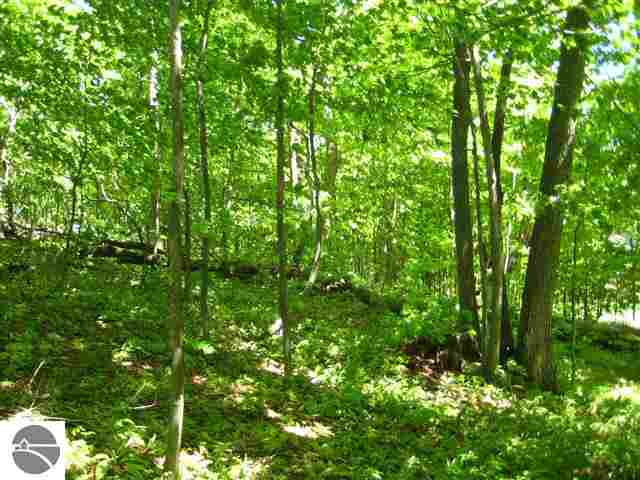 Lot A Warren Road Beulah, MI 49617 - Photo 9 of 43 1846391-8.JPG
