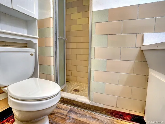 a bathroom with a toilet and a shower