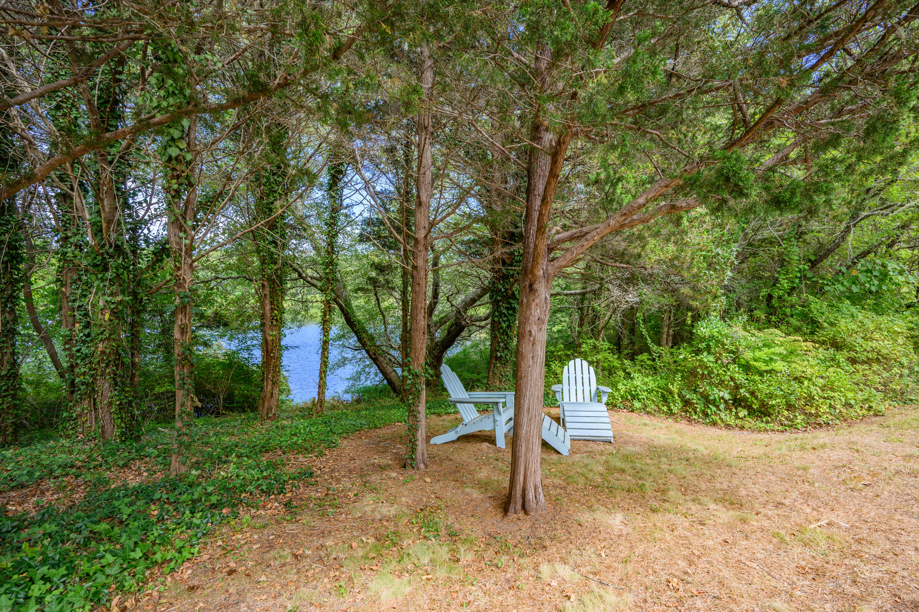 25 Pleasant View Drive Orleans, MA 02653 - Photo 8 of 56 a view of a yard with a tree