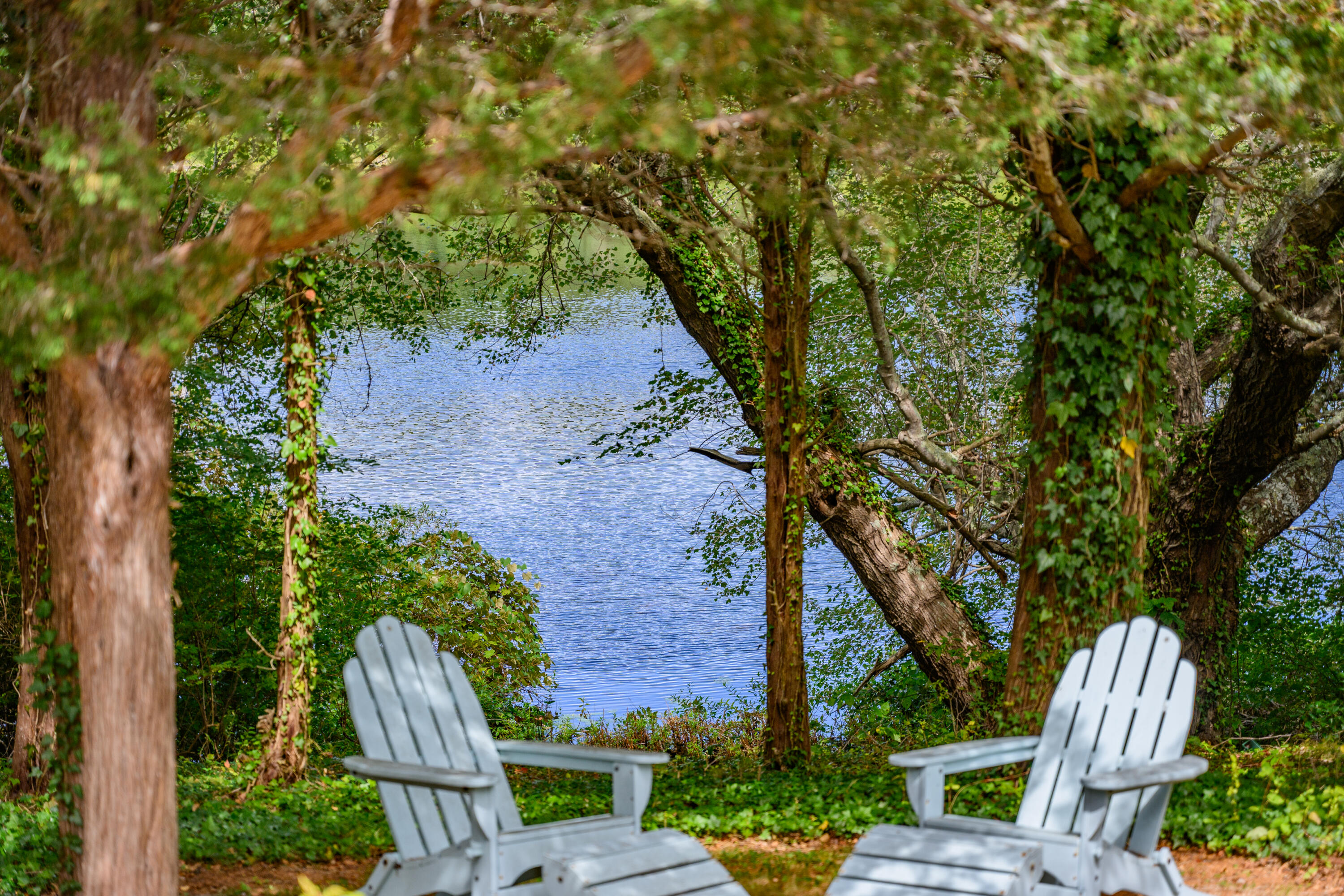 25 Pleasant View Drive Orleans, MA 02653 - Photo 9 of 56 3_dsc_9132