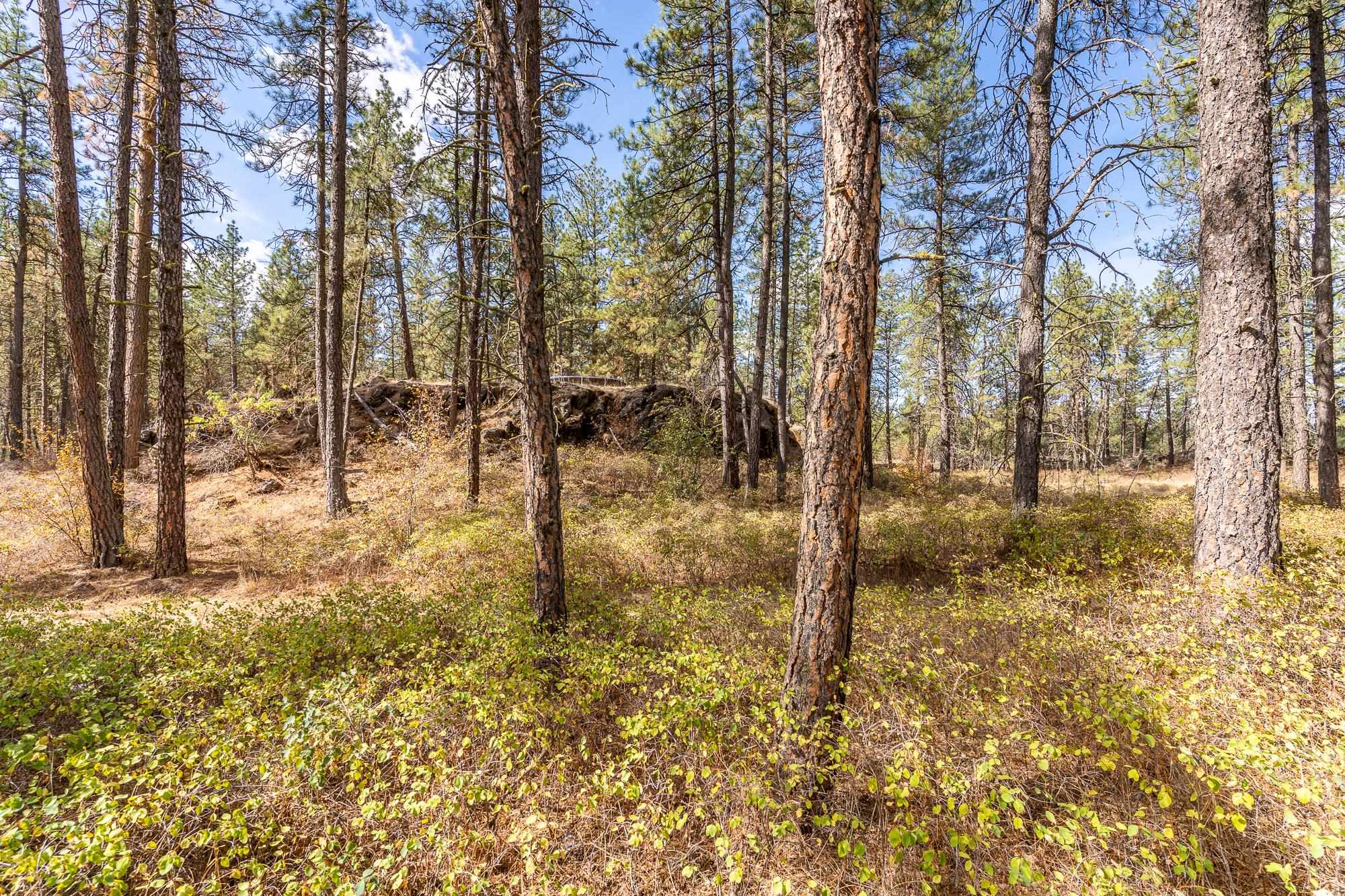 18010 South Malloy Prairie Road Cheney, WA 99004 - Photo 36 of 50