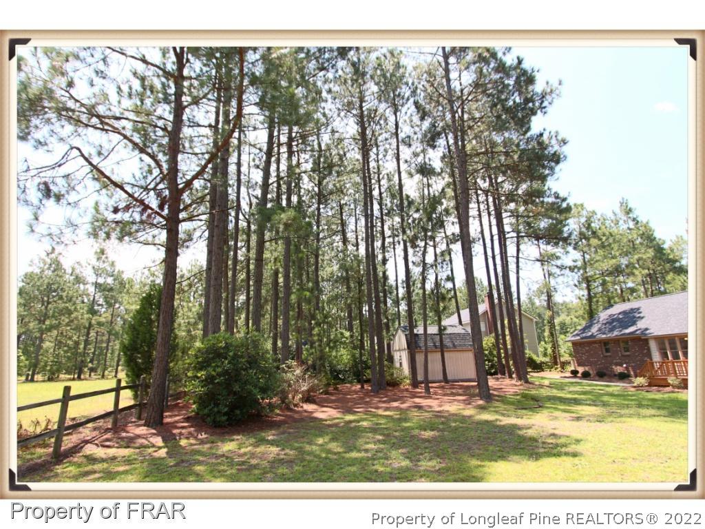 7786 Dragonhead Road Fayetteville, NC 28311 - Photo 32 of 33 a view of outdoor space with trees