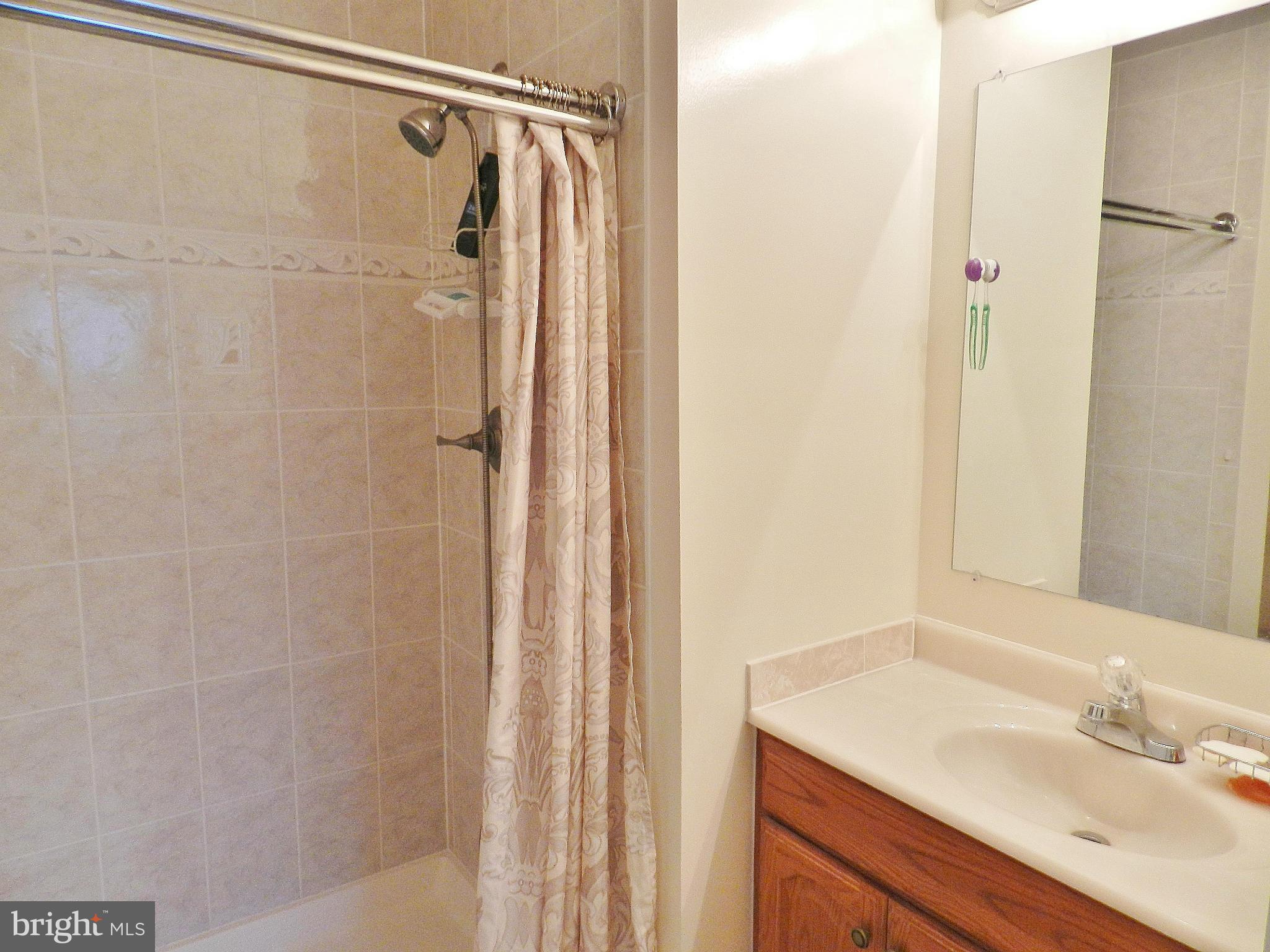 8810 Ridge Hollow Court Springfield, VA 22152 - Photo 10 of 30 Bath (Master)