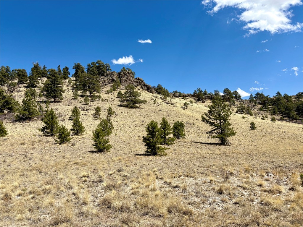 948 Deadman Road Hartsel, CO 80449 - Photo 23 of 45 View of nature with a rural view