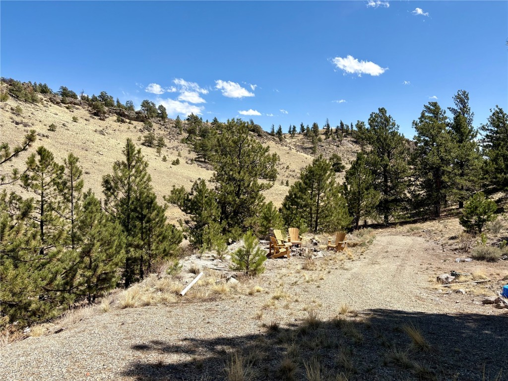 948 Deadman Road Hartsel, CO 80449 - Photo 6 of 45 View of local wilderness