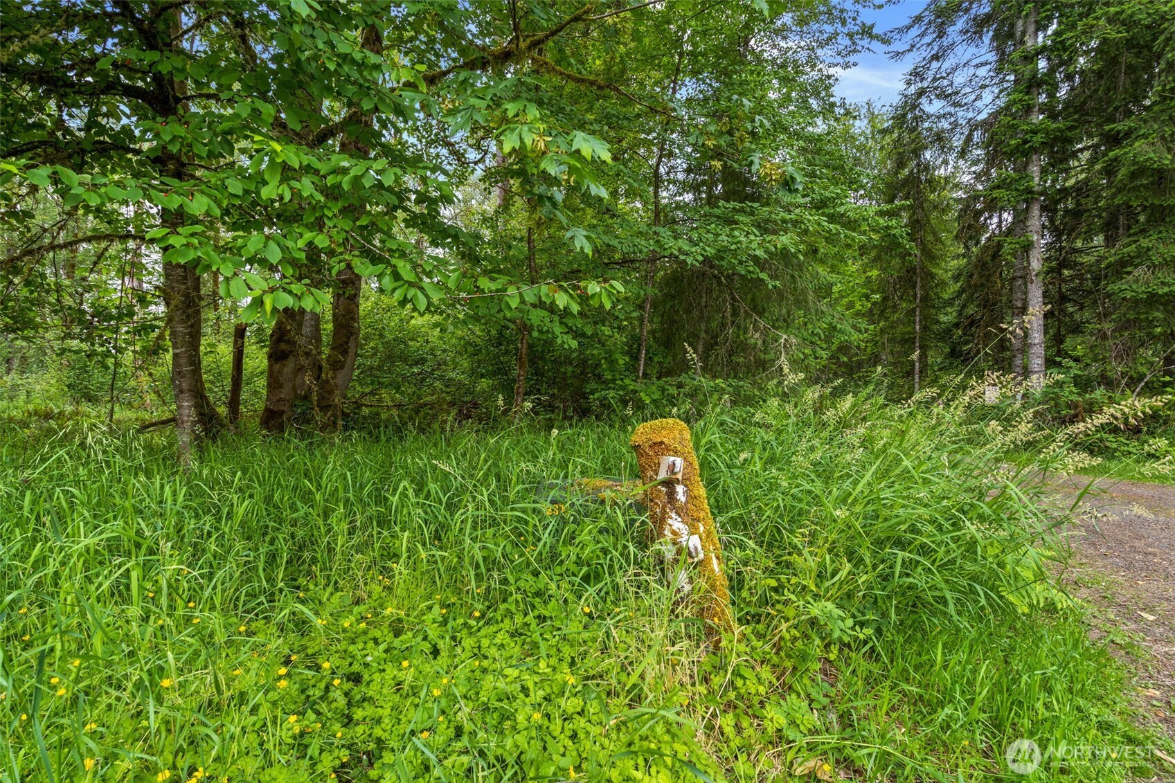 -xxx Harmony Road Mossyrock, WA 98564 - Photo 16 of 19